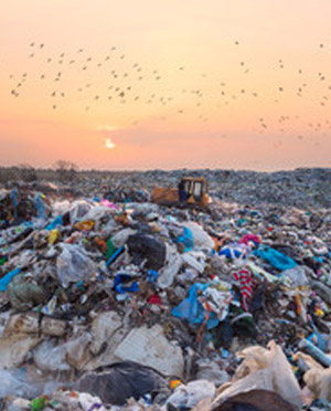 landfill image